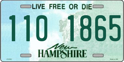 NH license plate 1101865