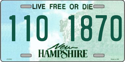 NH license plate 1101870