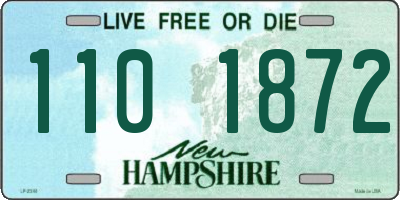 NH license plate 1101872
