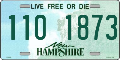 NH license plate 1101873