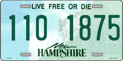 NH license plate 1101875