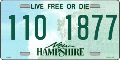 NH license plate 1101877