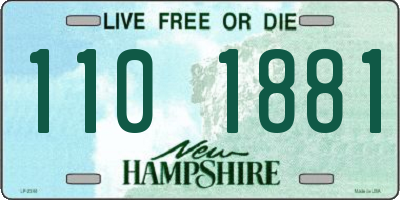 NH license plate 1101881
