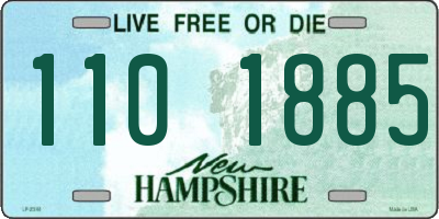 NH license plate 1101885