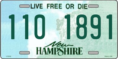NH license plate 1101891