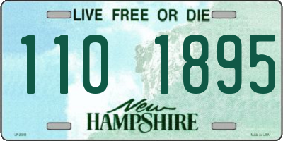 NH license plate 1101895