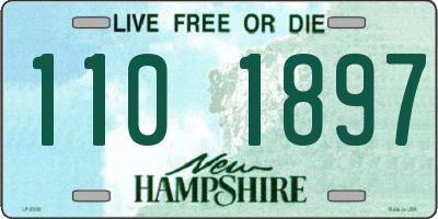 NH license plate 1101897