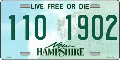 NH license plate 1101902