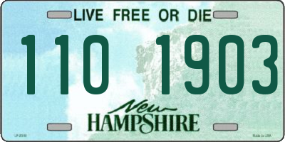 NH license plate 1101903