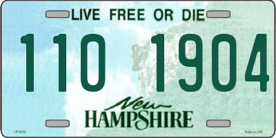 NH license plate 1101904