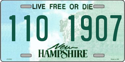 NH license plate 1101907