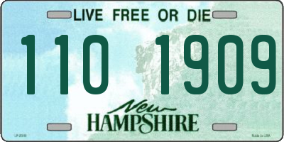NH license plate 1101909