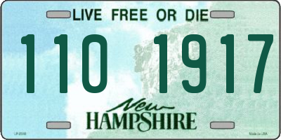 NH license plate 1101917