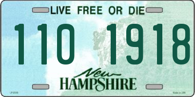 NH license plate 1101918