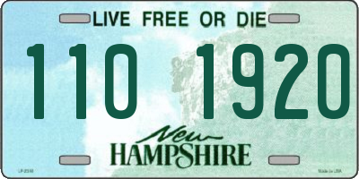 NH license plate 1101920