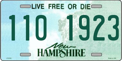 NH license plate 1101923