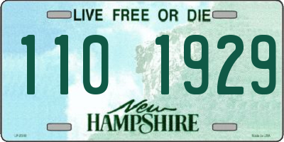 NH license plate 1101929
