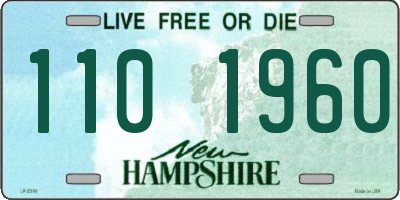 NH license plate 1101960