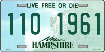 NH license plate 1101961