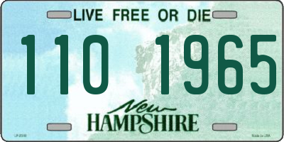 NH license plate 1101965