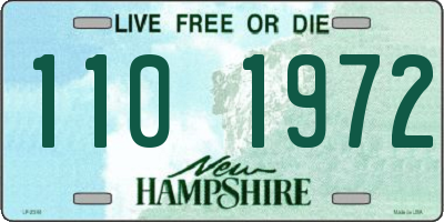 NH license plate 1101972