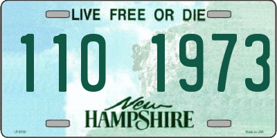 NH license plate 1101973