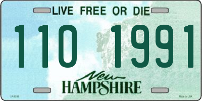 NH license plate 1101991