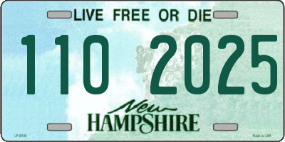 NH license plate 1102025