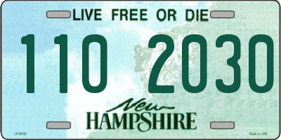 NH license plate 1102030