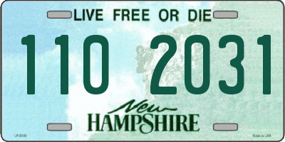 NH license plate 1102031