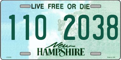 NH license plate 1102038