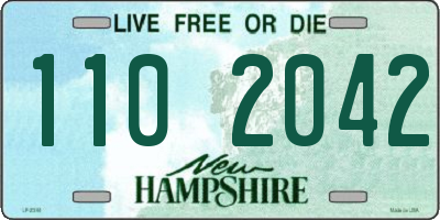 NH license plate 1102042