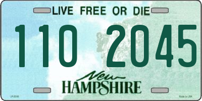 NH license plate 1102045