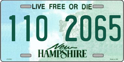 NH license plate 1102065