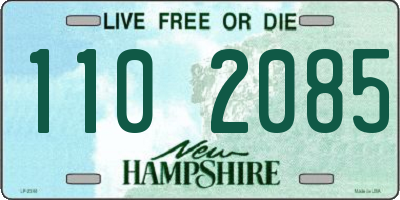 NH license plate 1102085