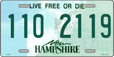 NH license plate 1102119