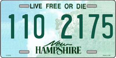 NH license plate 1102175