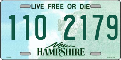 NH license plate 1102179