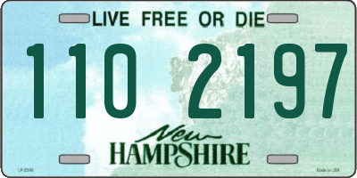 NH license plate 1102197