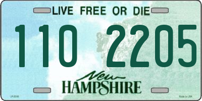 NH license plate 1102205