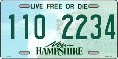 NH license plate 1102234
