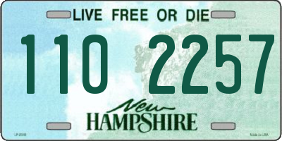 NH license plate 1102257