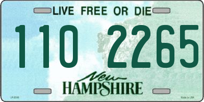NH license plate 1102265