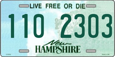 NH license plate 1102303