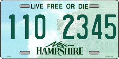 NH license plate 1102345
