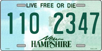 NH license plate 1102347