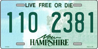 NH license plate 1102381