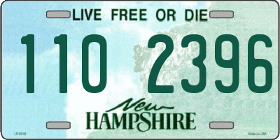 NH license plate 1102396
