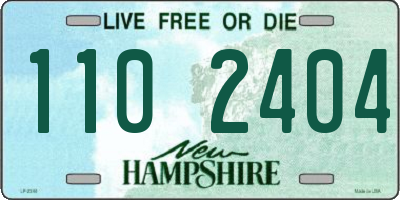 NH license plate 1102404