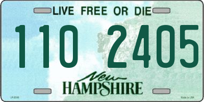 NH license plate 1102405